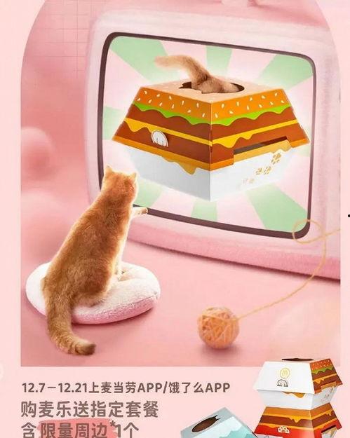娱乐吃瓜酱棉袄猫窝